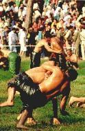 Traditional wrestling festival